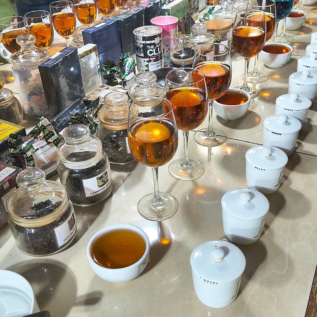saste-tea