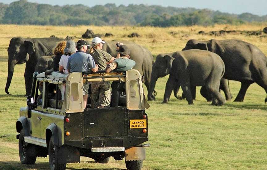alt="Yala Experience in sri lanka"
