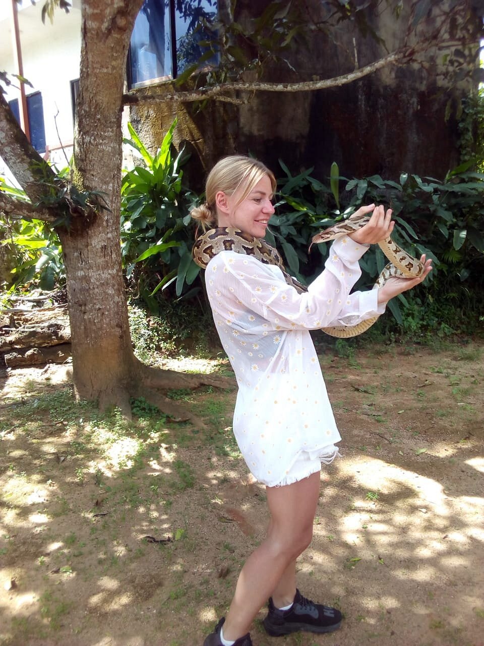 python