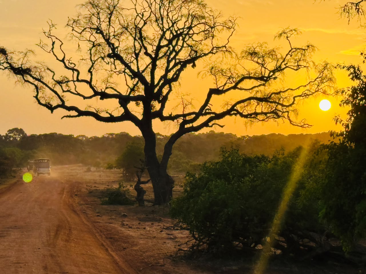 sunrise