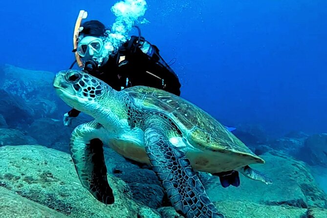 Day 1: Scuba Diving