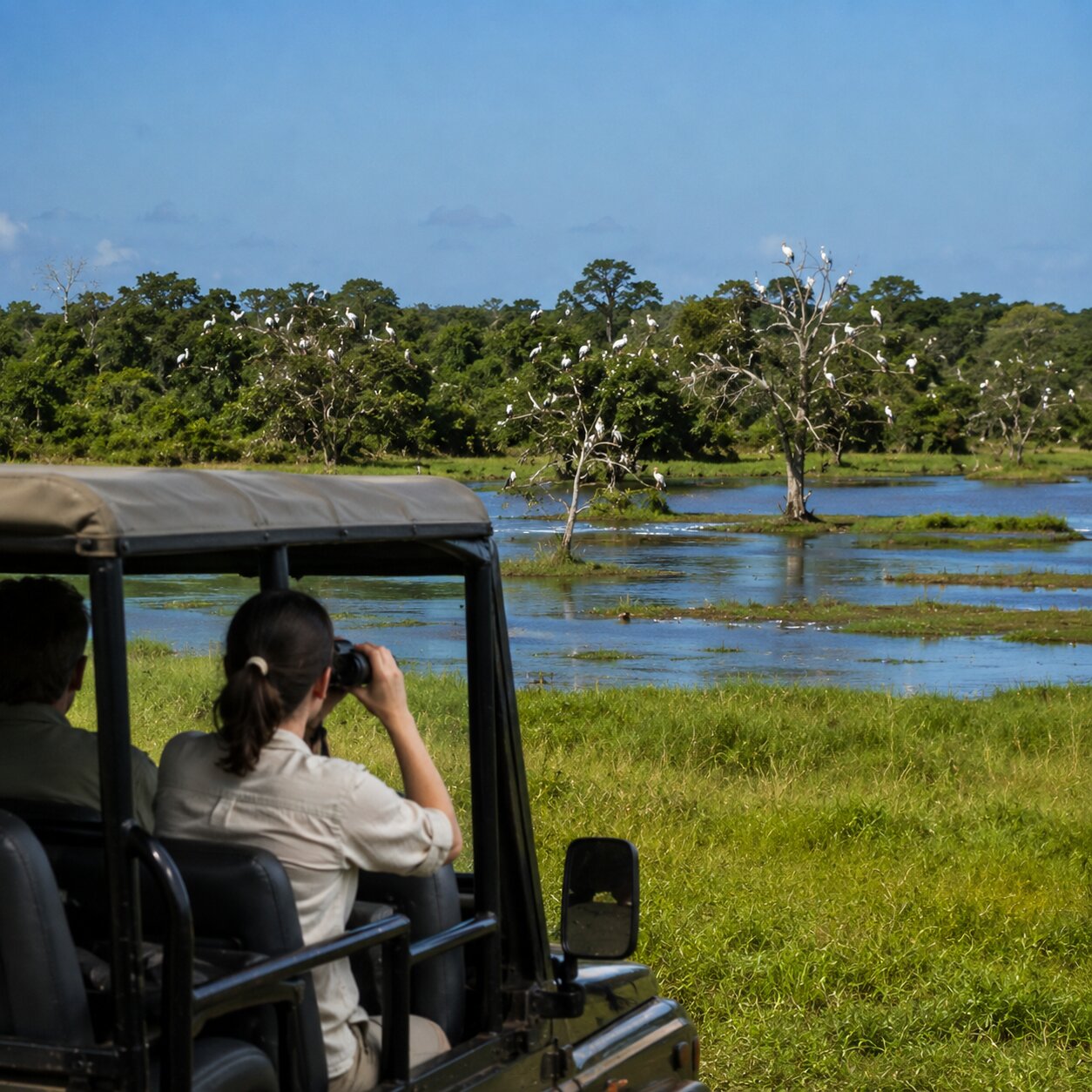 Day 1: Kumana Safari
