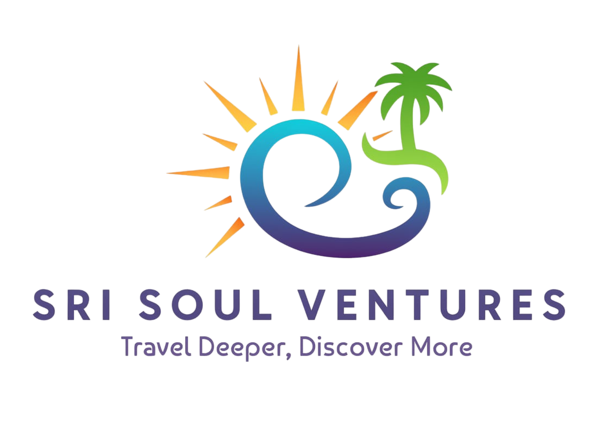 Sri Soul Ventures logo